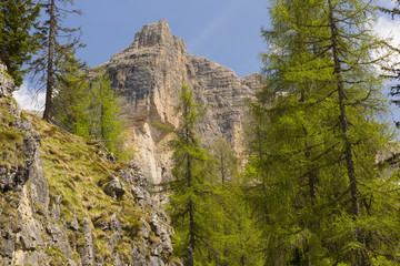 Alpine wilderness, Dolomites, Italy