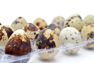 Obraz premium Quail eggs in a plastic box