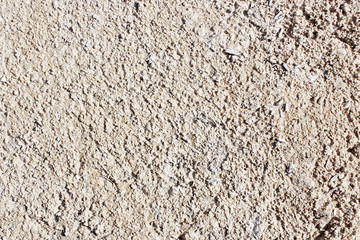Rough wood texture