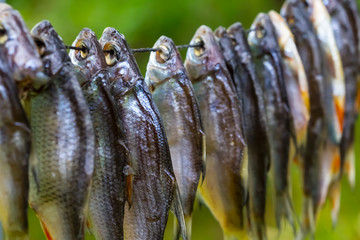 hanging dry fish