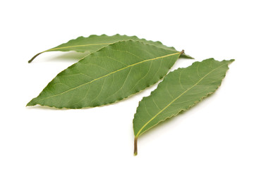 Fototapeta premium Fresh Bay Leaves isolated on white background