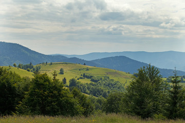 carpathian hills in Ukraine