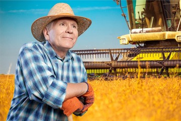 Gardening, Senior Adult, Men.