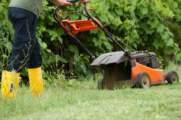 gardening