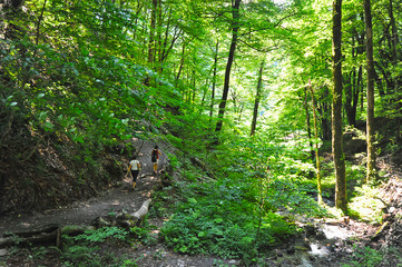 Fototapeta na wymiar two girls walking in mountain forest