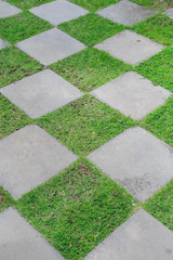 Stone pathway with green grass