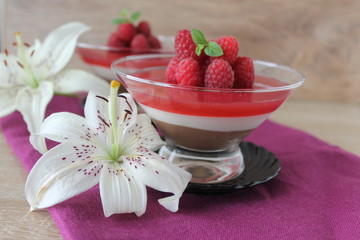 raspberry-chocolate Panna cotta