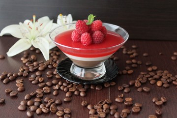 raspberry-chocolate Panna cotta