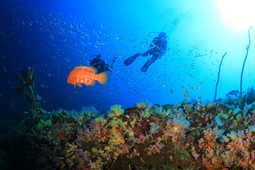Fototapeta na wymiar Scuba diving on coral reef underwater with fish