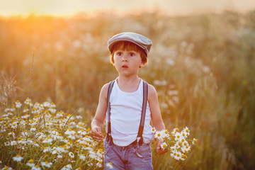 Beautiful little boy in daisy field on sunset © Tomsickova