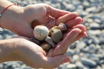 Pretty lady's hands holding stones on the beach in Nice (France)