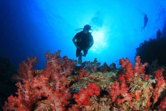 Scuba diving on coral reef underwater
