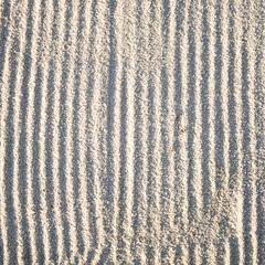 Raked sand bunker texture