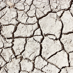 Dry earth background