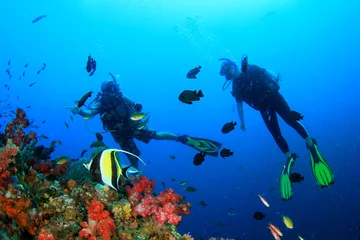 Wall murals Diving Scuba diving on coral reef underwater with fish