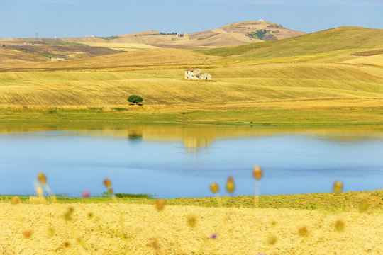 Tra Puglia e Basilicata.Paesaggio agreste estivo:Lago del Basentello circondato da campi di grano.ITALIA (Poggiorsini)