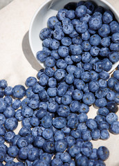Fresh Blueberries organic food