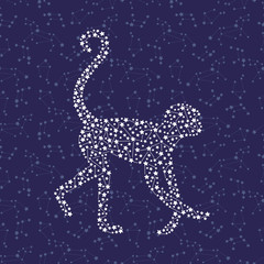 Fototapeta na wymiar Monkey - Happy new year 2016 symbol on night sky background. Year Of The Monkey. Vector Illustration monkey with astrological constellation.