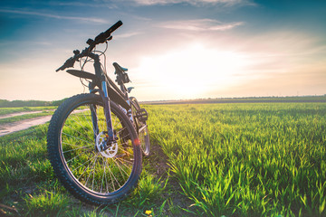 Mountain biking down