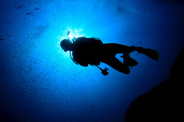 Fototapeta premium Scuba diver
