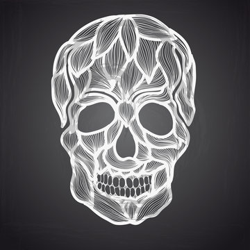 Vector illustration with Hand Drawn Skull.