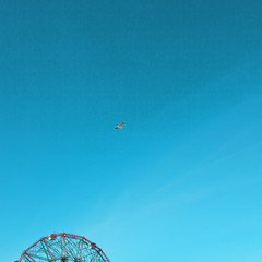 Seagull flying over a ferris wheel