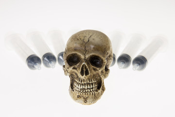 Human skull
