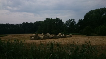 Strohrollen