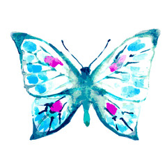 butterfly,watercolor design