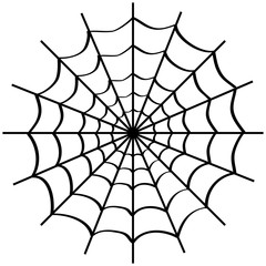 Obraz premium Spider web on white.