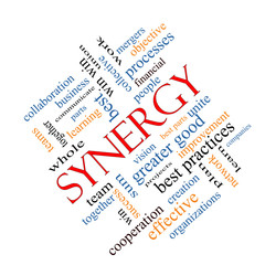 Synergy Word Cloud Concept Angled