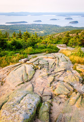 Dramatic Landscape of Acadia National Park