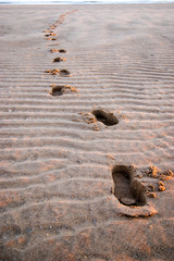 Fototapeta na wymiar Brands footprints on beach sand