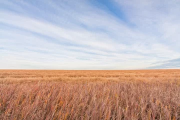 Fototapeten Landscape of the prairie grassland of Alberta, Canada. © Kerry Snelson