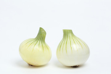 Obraz premium 新タマネギ