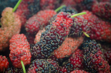 Close up organic mulberry, vintage mulberry