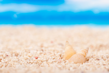 海岸のイメージ