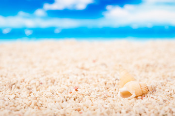 海岸のイメージ