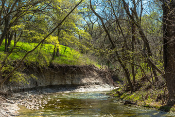 Green_Stream