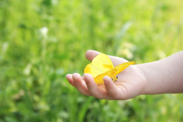 Fototapeta premium Child's Hand Holding Orange Barred Sulphur Butterfly Outside