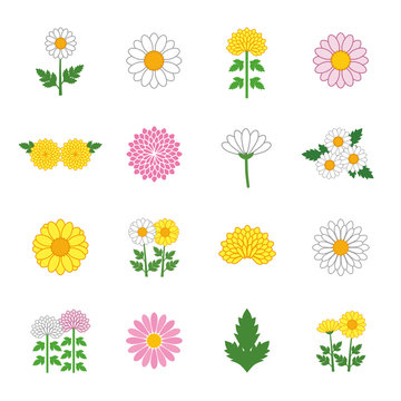 Chrysanthemum Daisy Marguerite icon set