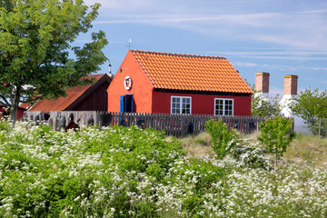 Fototapeta na wymiar Rotes Ferienhaus am Strand auf Bornholm