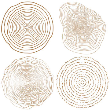 vector tree rings background and saw cut tree trunk
