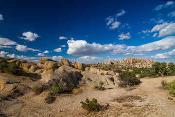 Fototapeta na wymiar Desert landscape in Joshua Tree National Park, CA