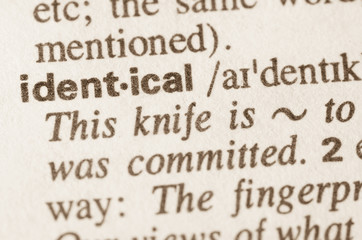 Dictionary definition of word identical