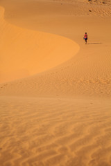 Fototapeta na wymiar The traveler in the desert