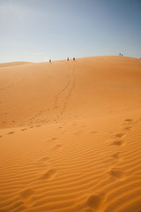 The traveler in the desert