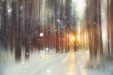 Deurstickers background winter forest sunny day © kichigin19