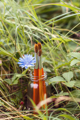 Brushes with chicory flower in a bottle on the background of gra