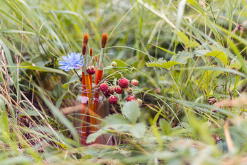 Paintbrush, flower and strawberries on the background of grass